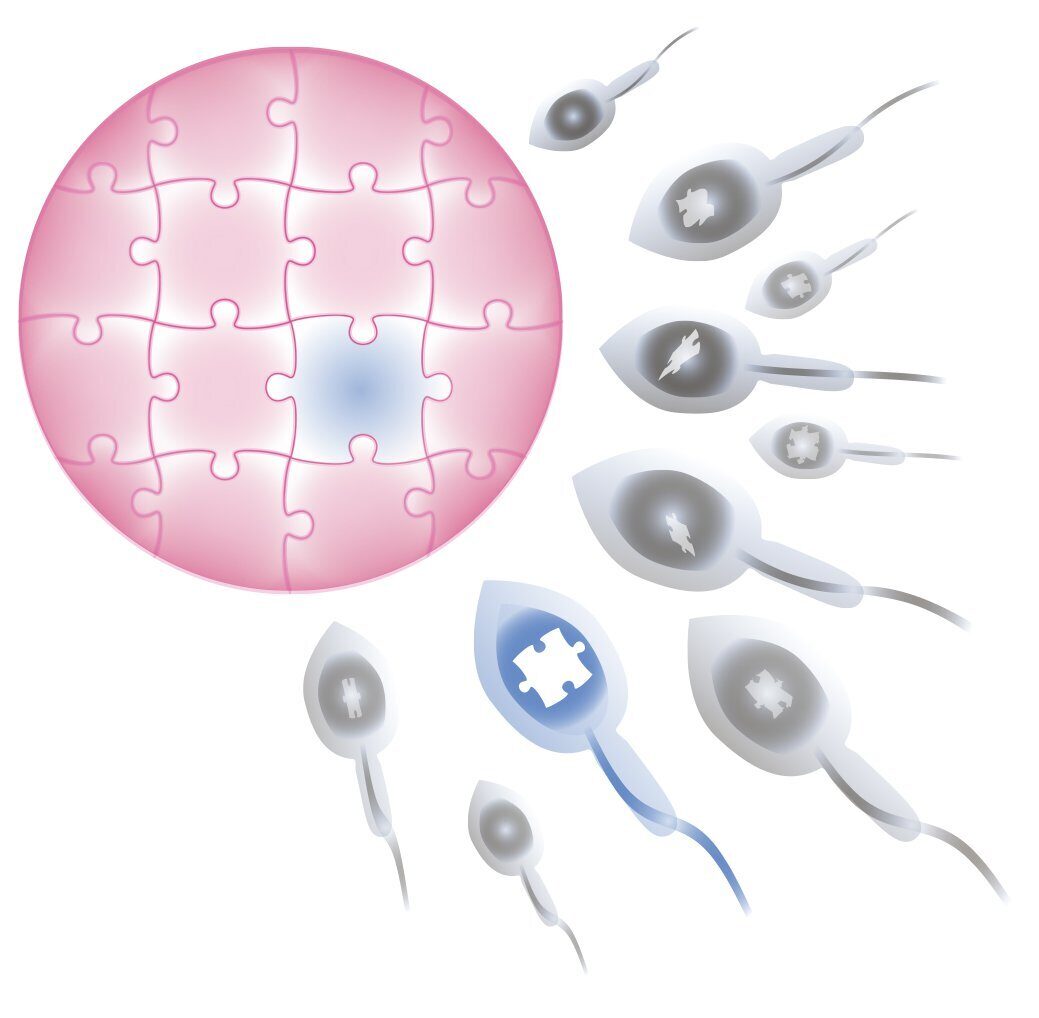 Нормальные показатели спермы
